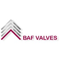 BAF VALVE